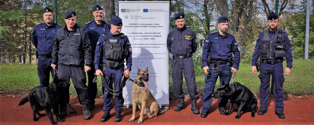 umundurowani polscy i czescy policjanci z psami pozują do zdjęcia