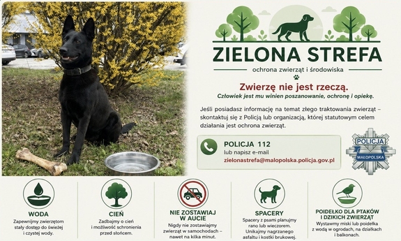 Zadbajmy o zwierzęta podczas upałów