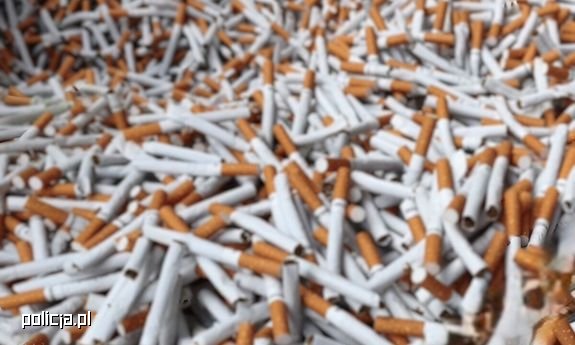 Setki tysięcy złotych strat Skarbu Państwa. Policjanci zabezpieczyli 147 kilogramów suszu i 299 tysięcy papierosów