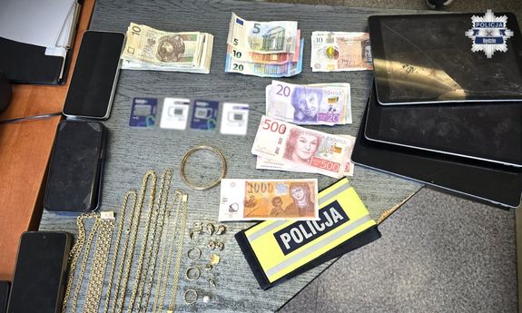 Włamania do domów i straty sięgające blisko 50 tysięcy złotych. Policjanci wpadli na trop podejrzanych