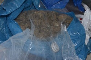 Policjanci zabezpieczyli blisko 7 kg narkotyków