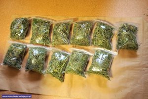 Zabezpieczonei ponad 3 kg marihuany #4