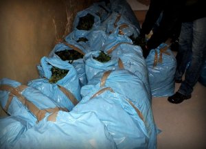 Zabezpieczono rekordową ilość narkotyków o czarnorynkowej wartości około 4 mln zł