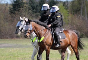 Wspólne ćwiczenia Policji konnej i policjantów OPP