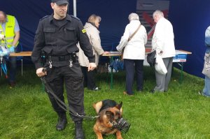 seniorzy przy stoiskach na pierwszym planie policjant z psem służbowym