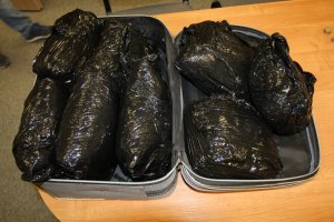 Podlascy policjanci zatrzymali narkotykowych dealerów i przejęli blisko 2,8 kg narkotyków