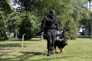 Policyjne psy w służbie na rzecz bezpieczeństwa pielgrzymów podczas ŚDM