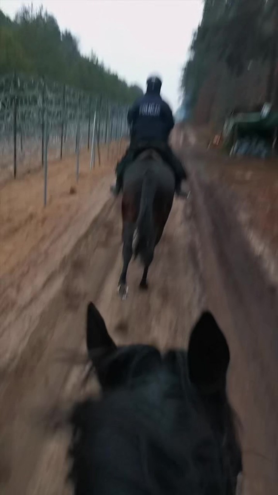 Policjant na koniu widziany od tyłu podczas jazdy.