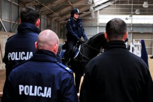 Policjanci podczas szkolenia Zespołów Konnych