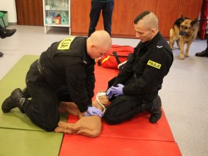 szkolenia dla policyjnych przewodników psów służbowych