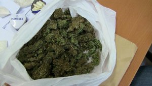 Zabezpieczono ponad pół kilograma marihuany oraz kilogram amfetaminy