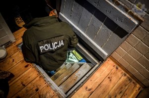 policjant schodzi do skrytki z uprawą konopi znajdującej się w piwnicy