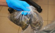 Policjanci rozbili grupę handlującą narkotykami i dopalaczami