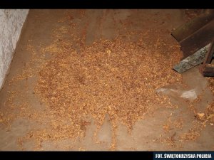 Zabezpieczona ponad tona suszonych liści tytoniu