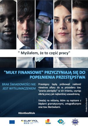 &quot;Muły finansowe&quot;