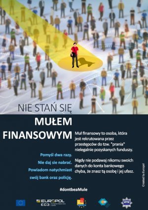 &quot;Muły finansowe&quot;