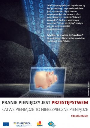 &quot;Muły finansowe&quot;