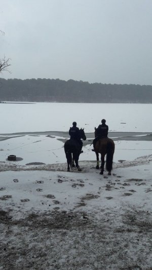 policjanci na koniach patrolują teren przywodny