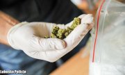 Dwa kilogramy marihuany nie trafi na rynek – skuteczne działania Policji i KAS w walce z przestępczością narkotykową