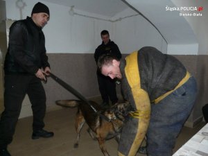 Międzynarodowe szkolenie przewodników psów służbowych