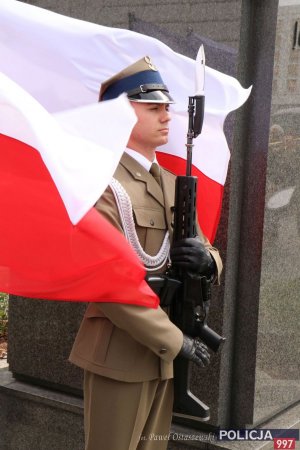 Żołnierz na warcie, flaga państwowa poruszona wiatrem otula żołnierza