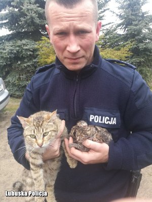 Sierż. szt. Jan Maławski trzyma uratowane kocięta