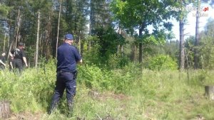 policjant w trakcie poszukiwań na łące, na skraju lasu