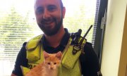 policjant z kotem na rękach