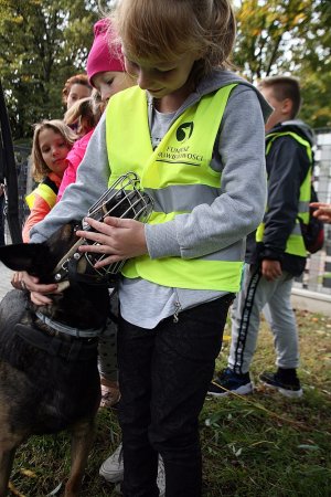 dziewczynka z psem policyjnym