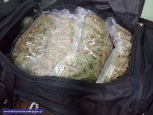 Narkotyki w torbie podróżnej