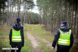 Policjanci szukający w lesie zaginionego