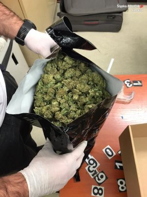 policjant trzyma zabezpieczoną marihuanę w foliowym worku