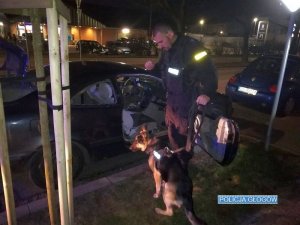 Policjant z psem do odnajdywania narkotyków