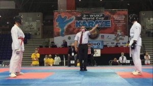 Starszy posterunkowy Michał Czechowicz podczas walki na mistrzostwach  świata w karate