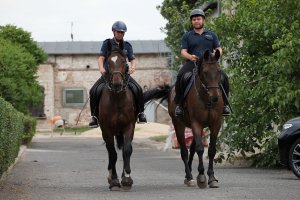 Dwóch policjantów jeżdżących konno