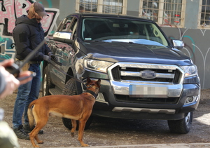 policjant z psem przy zabezpieczonym aucie