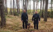 dwaj policjanci w lesie z psem tropiącym