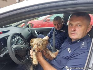 Dwaj policjanci z psem w radiowozie