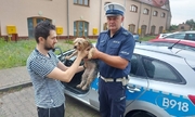 Policjant stojący przy radiowozie przekazuje psa właścicielowi