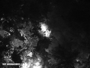 Zdjęcie z drona, który zlokalizował leżącego w lesie mężczyznę