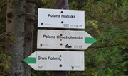 Drewniany słup stojący na Polanie Huciska z tabliczkami wskazującymi kierunki do Polany Chochołowskiej i Siwej Polany, w tle drzewa iglaste