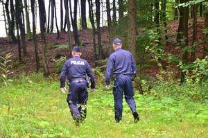 policjanci podczas poszukiwań na zalesionym terenie