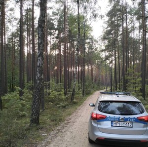 radiowóz stoi na leśnej drodze