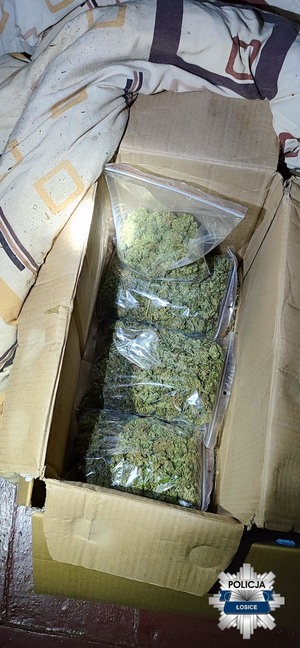 marihuana w foliowych woreczkach znajdujące się w kartonach