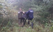 Sprawca prowadzony przez policjanta i strażnika leśnego
