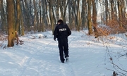 policjant idzie wśród drzew po śniegu