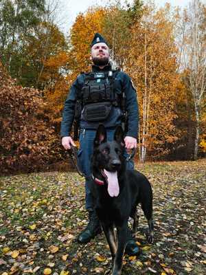 Policjant przewodnik z psem policyjnym w jesiennej scenerii