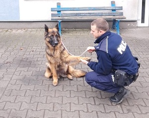 Pies podaje łapę policjantowi