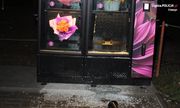 zdjęcie-noc, wybita szyba w automacie z kwiatami, pusta półka