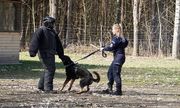 policjantka ze swoim psem służbowym i pozorant
